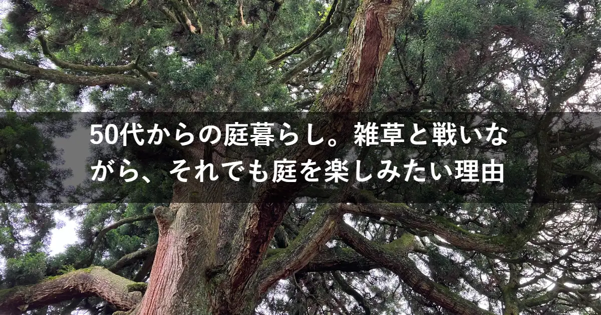 50代からの庭暮らし。雑草と戦いながら、それでも庭を楽しみたい理由